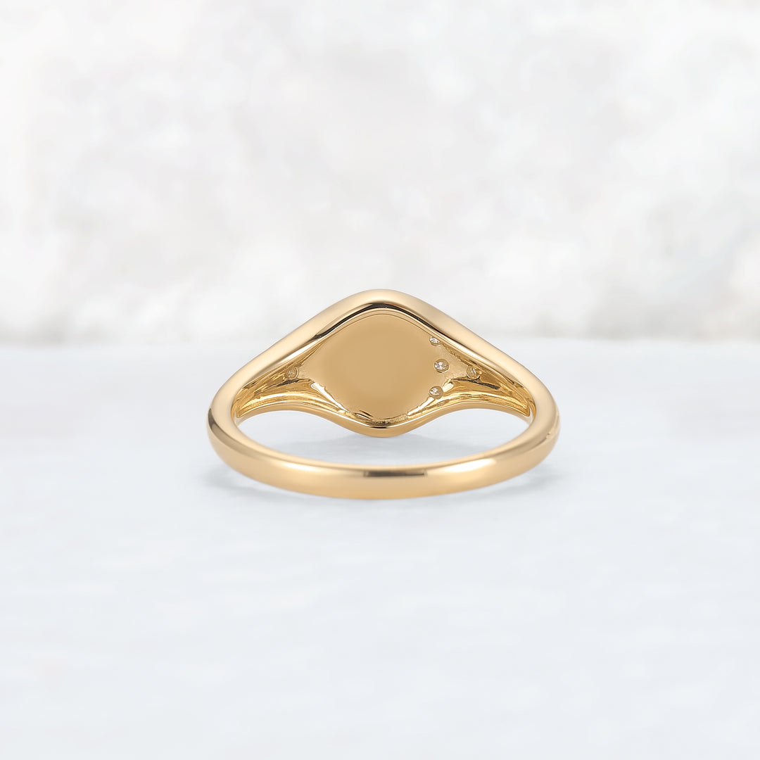 Moonlit Crater Rond Cut Moissanite Yellow Gold Signet Ring