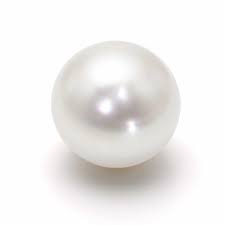 Crown 7.0-8.0 mm 16 inch  Akoya Pearl Gold Necklace